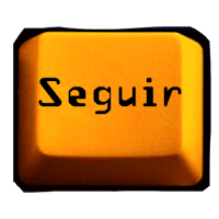 a yellow key with the word seguir on it